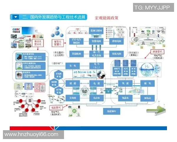 聚焦上海排球队近期状态分析与未来发展展望