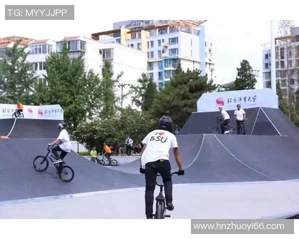 武汉极限运动队的意识探讨与极限运动文化的融合与发展实时数据